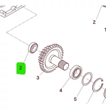 025146 - CSAPÁGY 32005 - TIMKEN