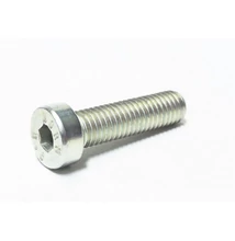 040846 - IMBUSZ CSAVAR M8X30 - UTÁNGYÁRTOTT 040846 - IMBUSZ CSAVAR M8X30 - UTÁNGYÁRTOTT