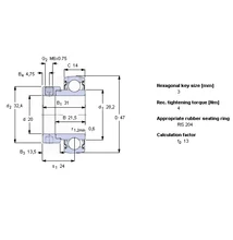 GRAE20NPPB - YET204 CSAPÁGY 619286 - SKF