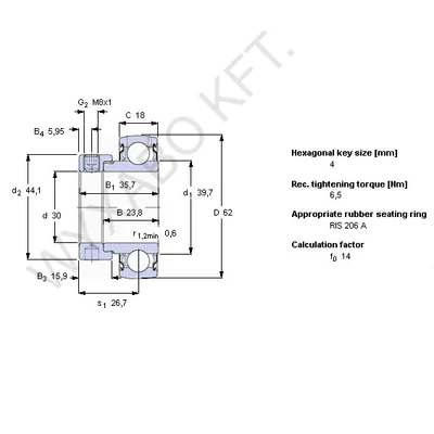 610448 - CSAPÁGY /RAE30, YET206/ - SKF