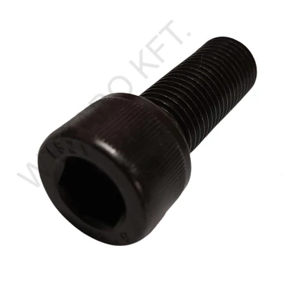 238904 - CSAVAR M18X45 12.9 - HVD