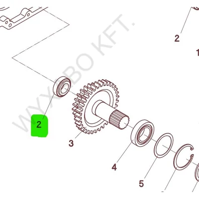 025146 - CSAPÁGY 32005 - TIMKEN