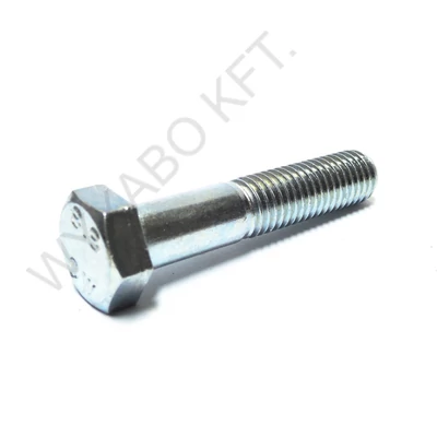 CSAVAR M12X60 HLF 8.