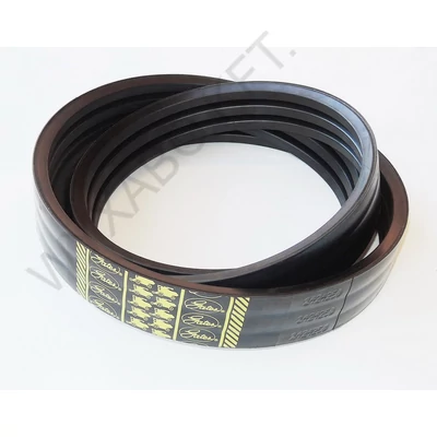 344311311 - 0225225 ÉKSZÍJ - GATES