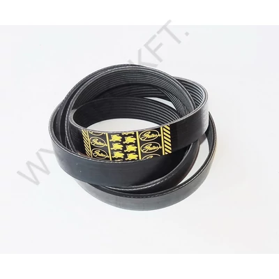 R503312 - 0242215 ÉKSZÍJ - GATES